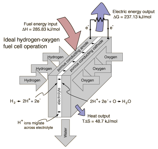 http://hyperphysics.phy-astr.gsu.edu/Hbase/thermo/imgheat/fuelcell.gif