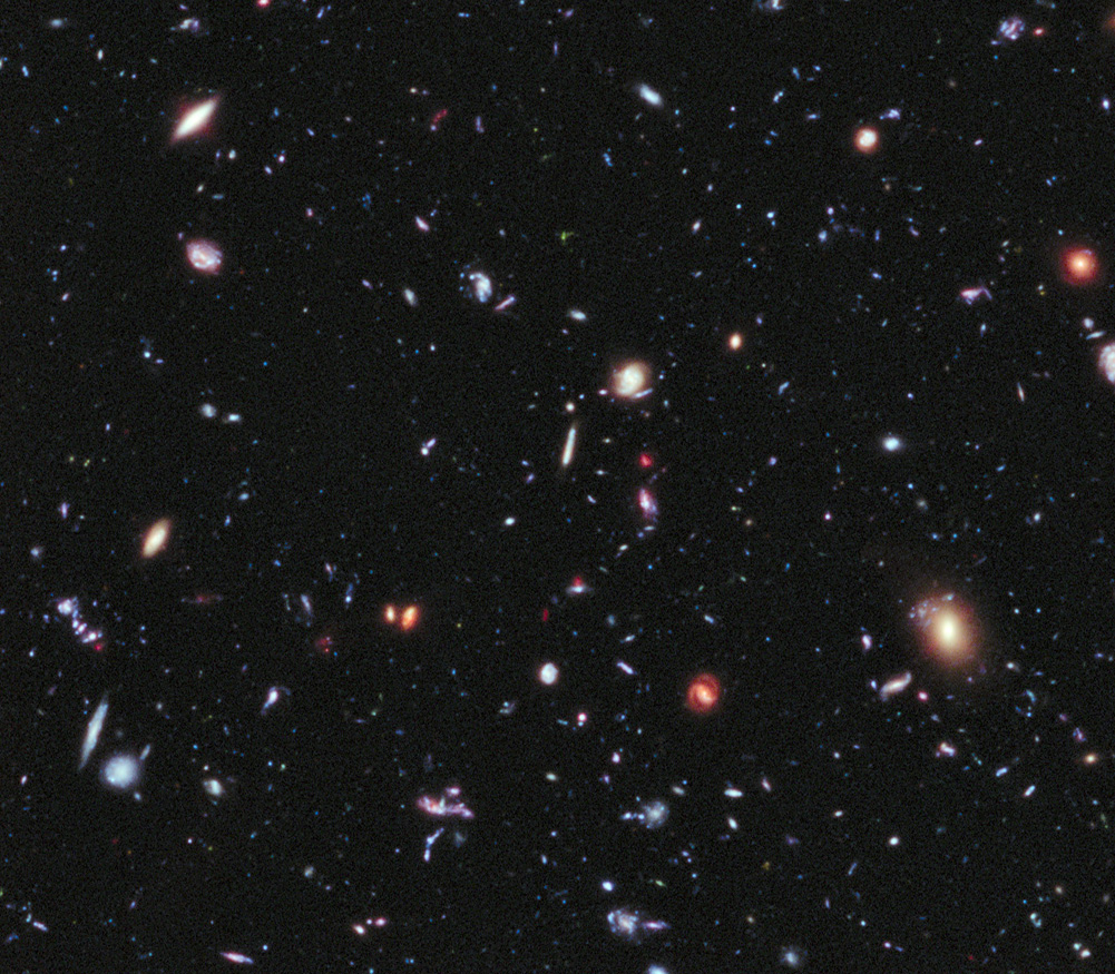 Zeeanemoon Jasje Insecten tellen The Hubble Space Telescope "Ultra Deep Field" View