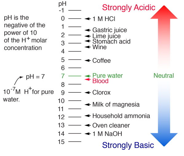 ph level of examples and their bases