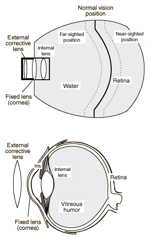 Focal Length Of Concave Lens Pdf 23 achmet tauben tiger