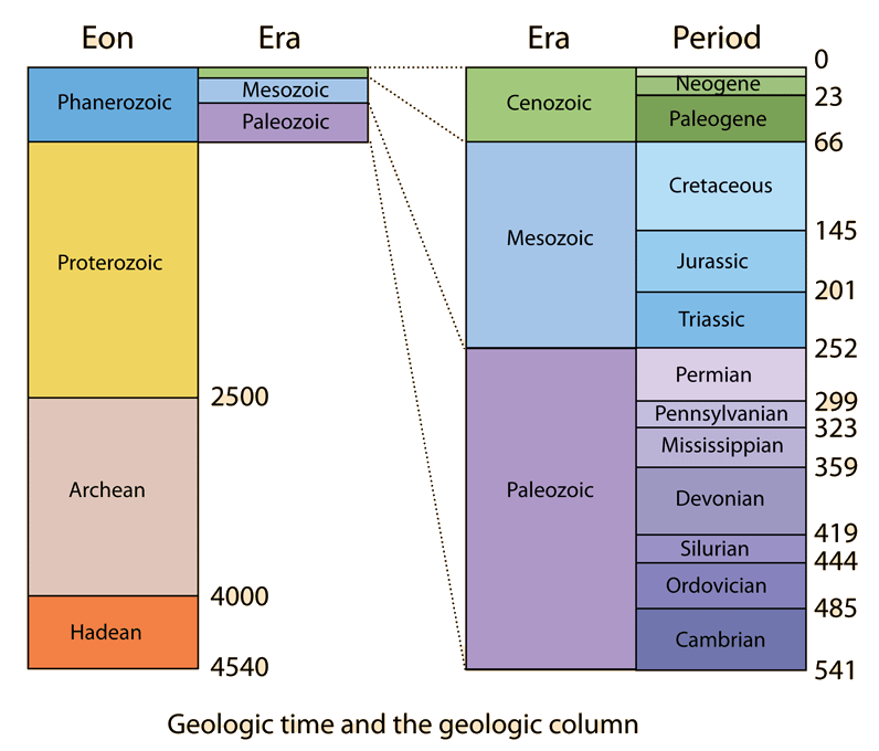 Dinosaur Time Periods Chart