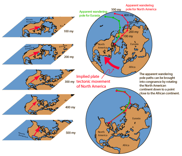 plate tectonics evidence