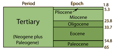 Geologic time scale quaternary Chronostratigraphy