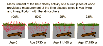 dictionary definition carbon dating