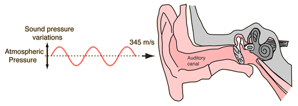 Sensitivity of Human Ear