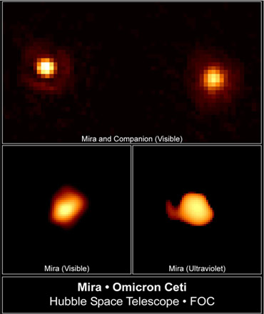 Résultat de recherche d'images pour estrella variable mira gif