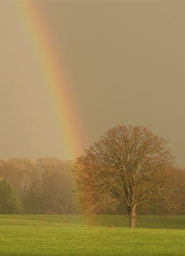 higher order rainbows