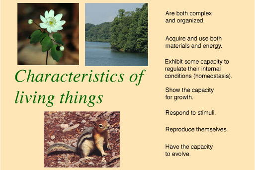  characteristics of living things. Karp approaches the same ideas in 
