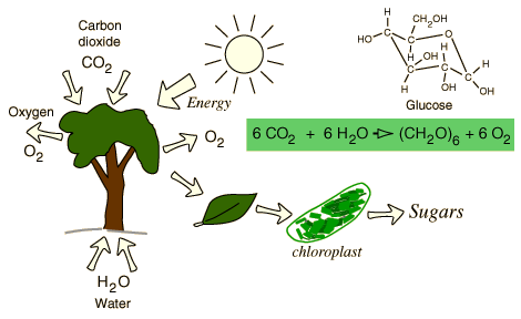 http://hyperphysics.phy-astr.gsu.edu