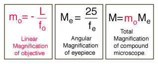 magnification for compound microscope