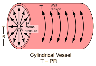 Featured image of post Blood Vessels Gif Transparent Gif abyss dark blood page 3