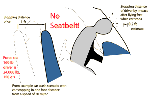 How Do Seat Belts Work?