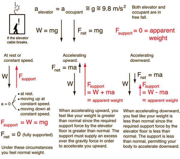 free fall physics calculator