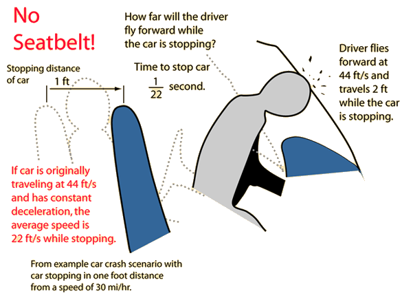 Essay on seat belt use