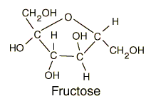 fructose.gif