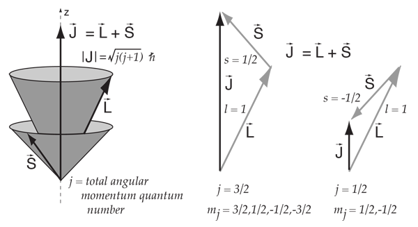 Vector Model Of Angular Momentum