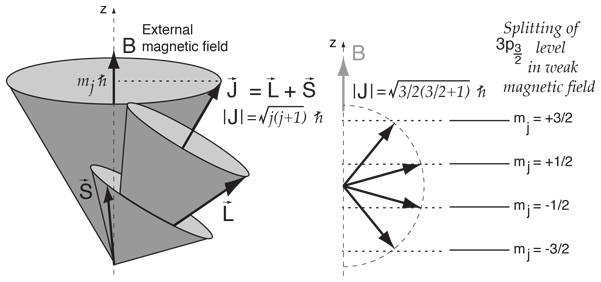 Vector Model Of Angular Momentum