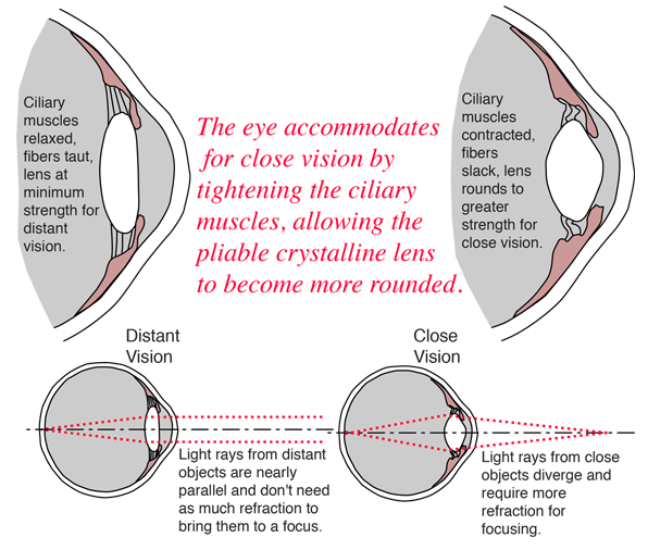 accommodation-of-the-eye-to-different-focus-distance