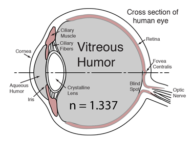 The Aqueous Humour Vision Eye Institute