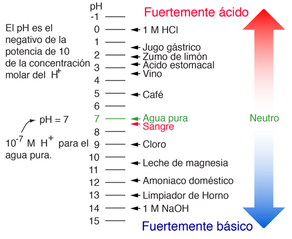 Enderezar Trampas Folleto pH as a Measure of Acid and Base Properties