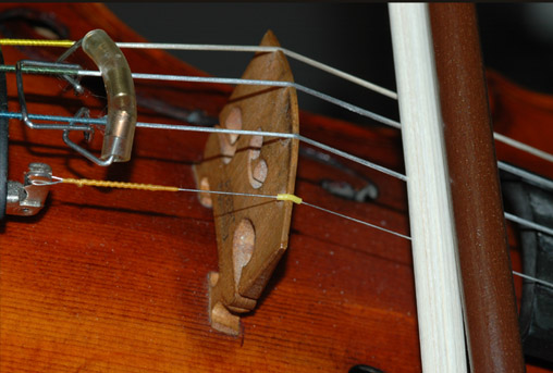 Girar crema violinista Violin